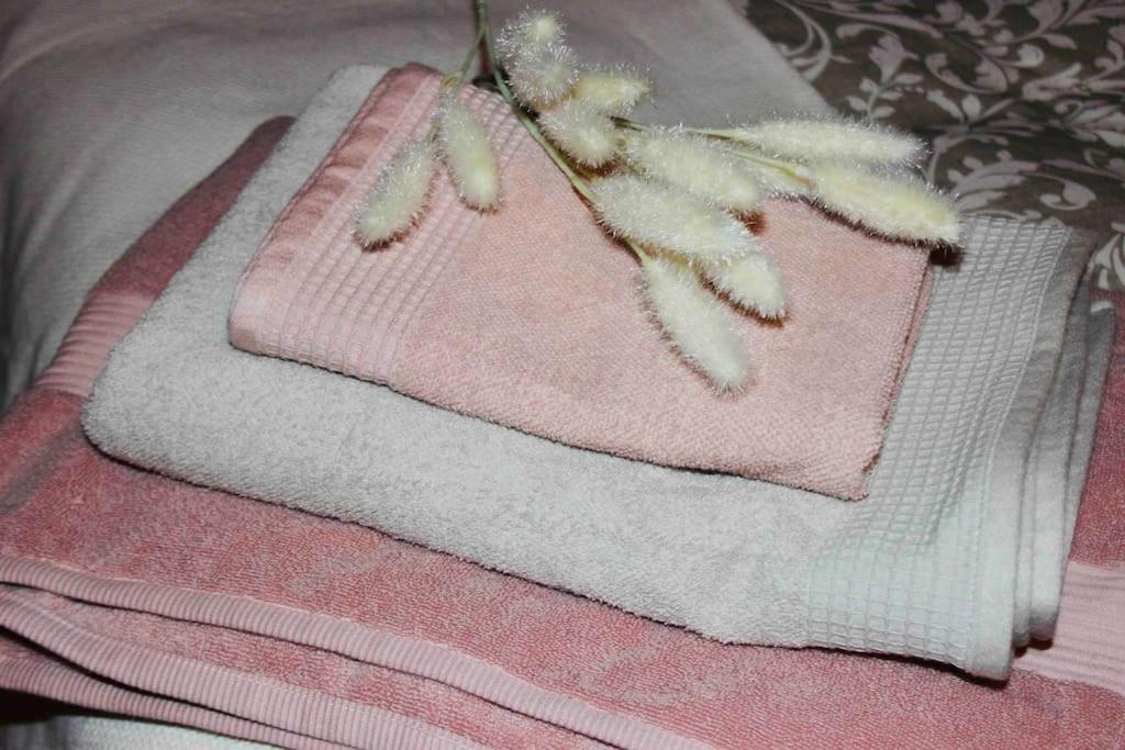 Apartamento El Picu Collanzo Екстер'єр фото