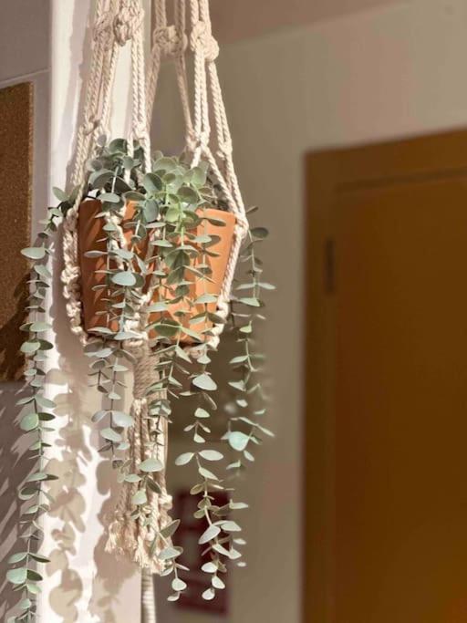 Apartamento El Picu Collanzo Екстер'єр фото