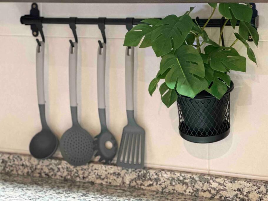 Apartamento El Picu Collanzo Екстер'єр фото