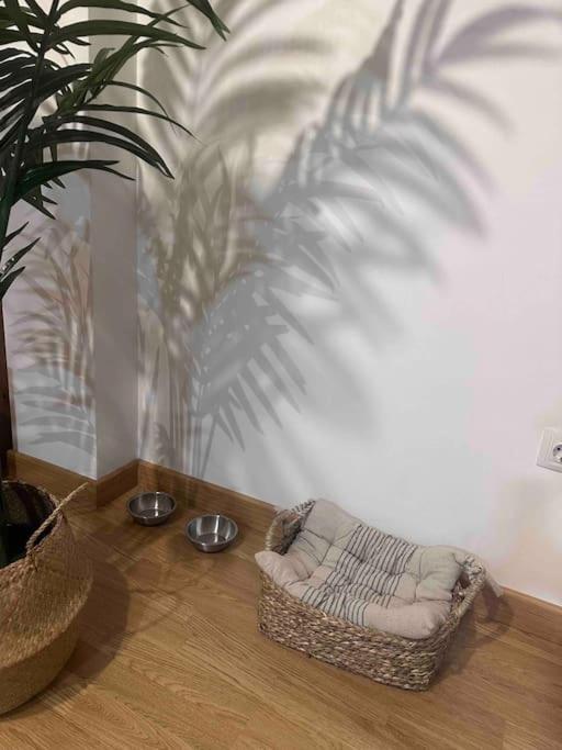 Apartamento El Picu Collanzo Екстер'єр фото
